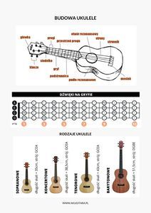 budowa i rodzaje ukulele